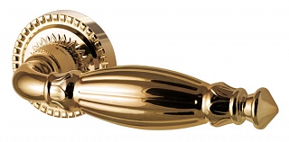 CL2-GOLD-24