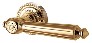 CL4-GOLD-24